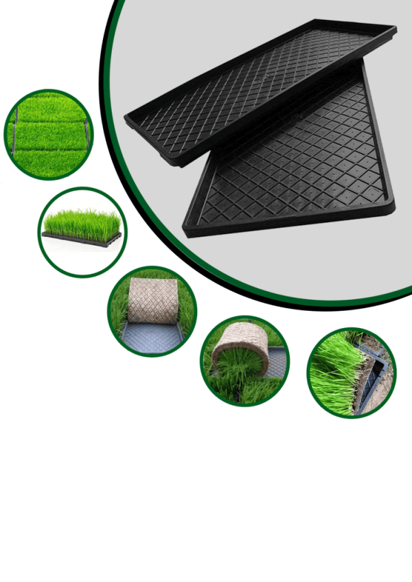NURSERY TRAY